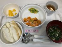 鮭のオーロラソースです《完了期》