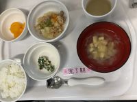 　春野菜の旨煮です《完了期》