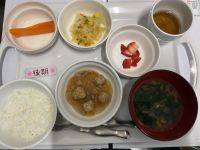 肉団子煮です《後期》