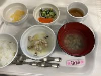 鶏団子と白菜煮です《後期》