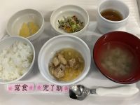 鶏肉と白菜の煮物です《常食、完了期》