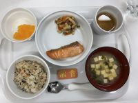 〈常食〉ひじきご飯鮭のスタミナ焼き高野豆腐の煮付け味噌汁みかん