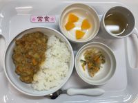 カレーライスです《常食》